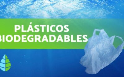 Un 50% de productos biodegradables en 2025