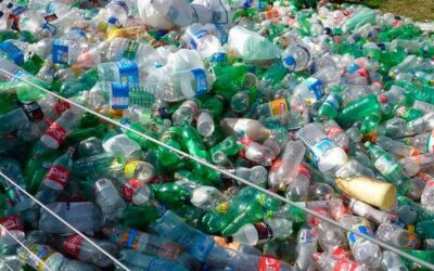 Recycling plastic with bacteria: an alternative for the reuse of waste