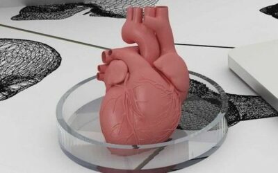 The health sector surrenders to the advantages of 3D printing