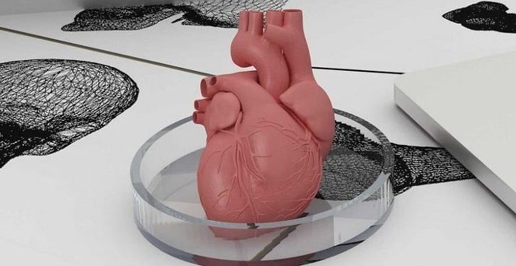 corazón en plástico 3d