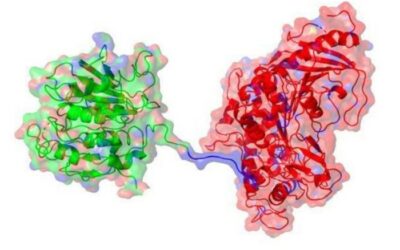 Enzyme additives that break down plastic and improve recycling