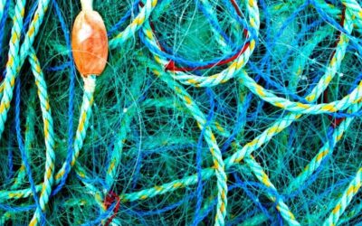 Econyl: a thread from recycled fishing nets changes the auto industry