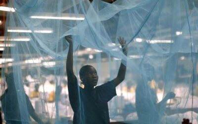 Insecticidal nets in the fight to eradicate malaria