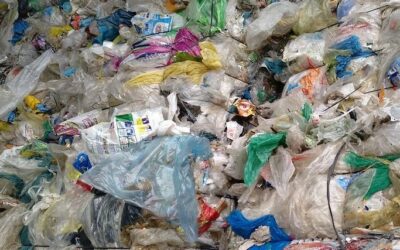 Nestlé reintroduces plastic waste in secondary packaging