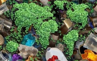 From organic waste to bioplastic: recycling Km 0