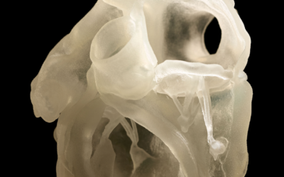 Stratasys lanza su primer material radiopaco para la impresora 3D Stratasys Digital Anatomy