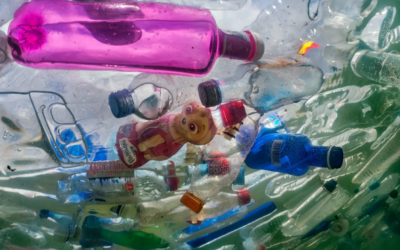 Crean nueva norma para plásticos reciclados en Europa