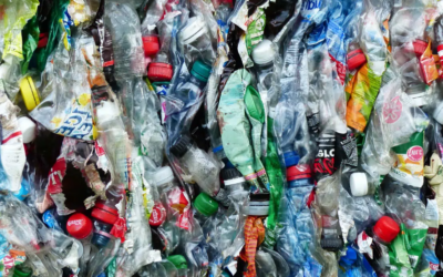 Fluorine helps make PET waste easier to recycle